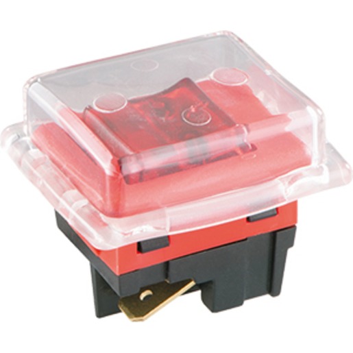 Bachmann 924.136 Turkey