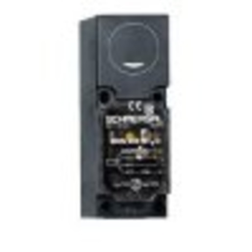 Schmersal BNS 333-01yD Turkey