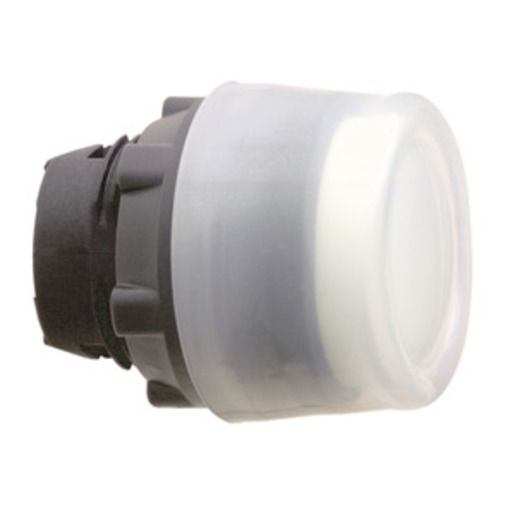 Schneider Electric ZB5AP18 Turkey