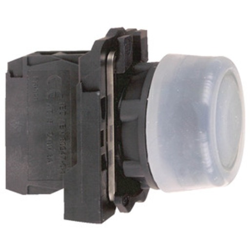Schneider Electric XB5AP21 Turkey