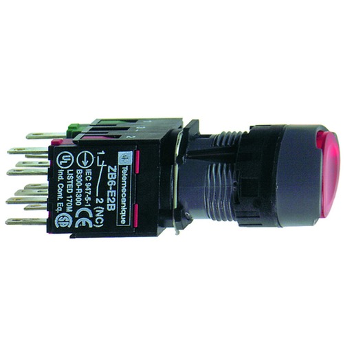 Schneider Electric XB6AF4B5B Turkey