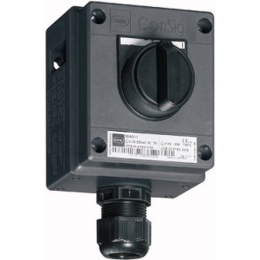 Stahl Schaltgeräte 8040/1180X-26M01SA05 Turkey