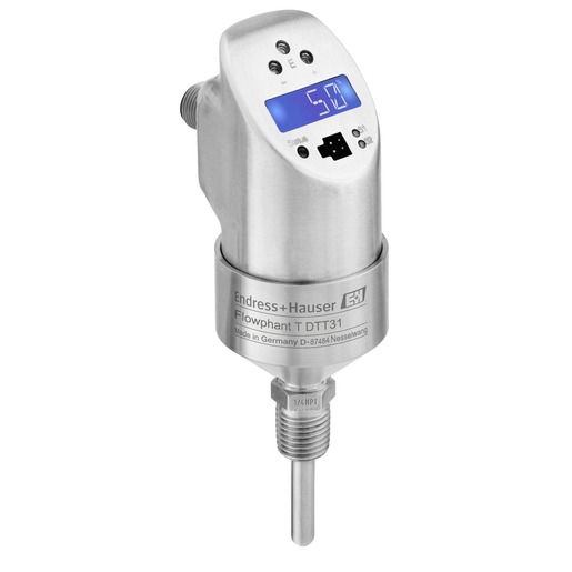 Endress + Hauser DTT31-A1B111AE2CAA Turkey