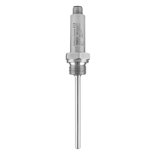 Endress + Hauser TMR31-A11BAAAX1AAA Turkey
