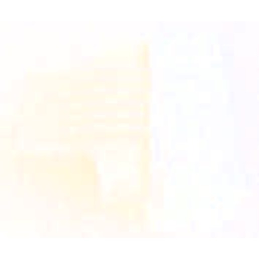 Eaton Electric RA-C1-END1 Turkey