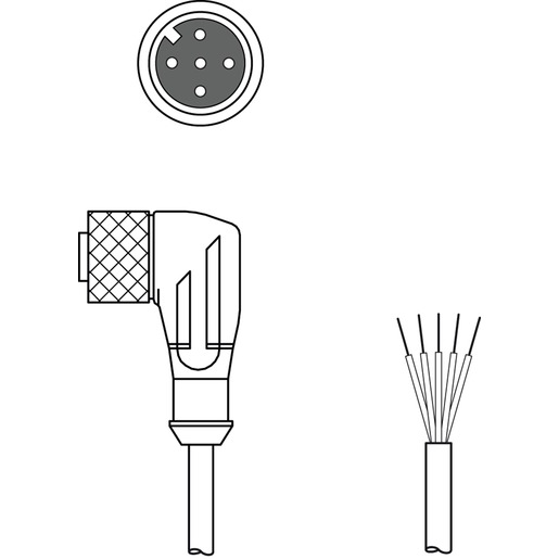 Leuze electronic K-D M12W-5P-2m-FAB Turkey
