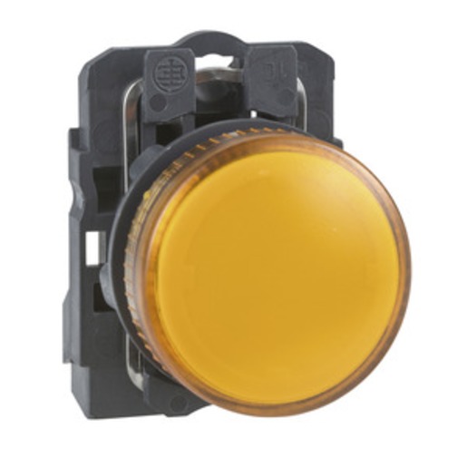 Schneider Electric XB5AV65 Turkey