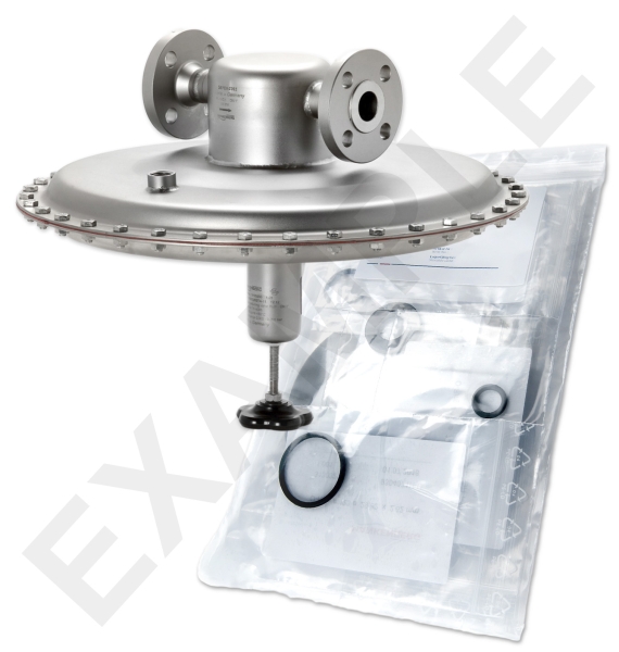 Mankenberg 6630038TA-12  WS Maintenance Kit WS/DM762      1/2* 16TX0,4E0,01EV | Turkey