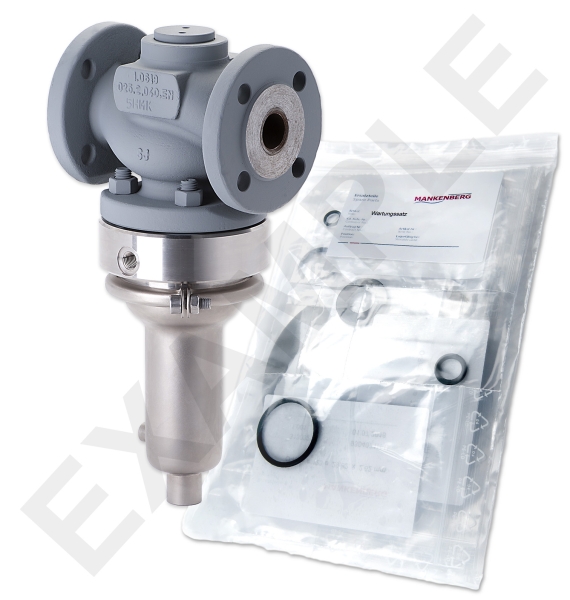 Mankenberg 6618024VA     WS Maintenance Kit WS/DM618-50-FA13-40-D068-40-V4-EE-N | Turkey