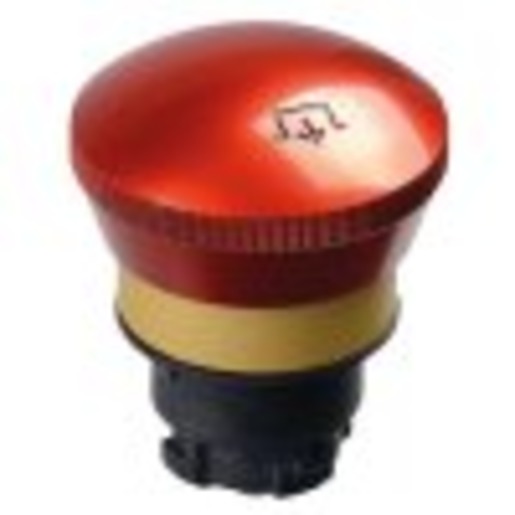 Schmersal EDRRZ40RT Turkey