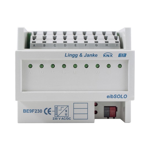 Lingg&Janke BE9F230 Turkey