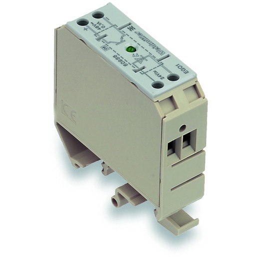 Weidmüller EGO1 EG2 24VDC 3KHZ Turkey