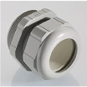 Pflitsch 24055u28 Turkey