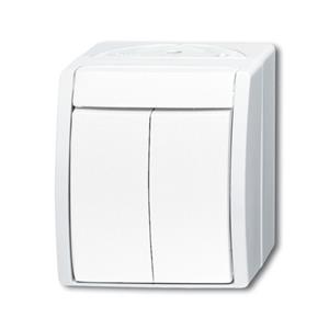 Busch-Jaeger 2601/5 W-54