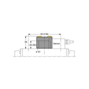 Turck BTS-DSU35-EU2 Turkey