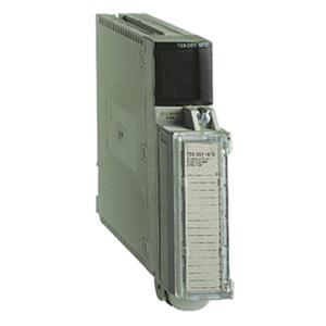 Schneider Electric TSXDEY16D2