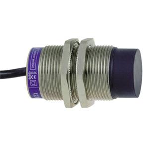 Schneider Electric XS2M30MA250
