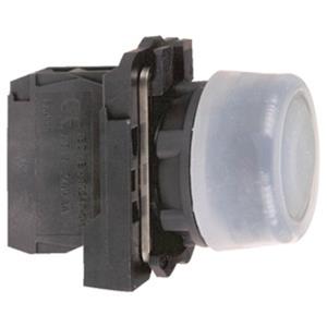Schneider Electric XB5AP21