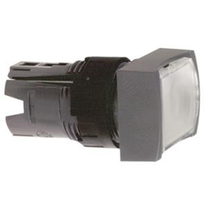 Schneider Electric ZB6DW1