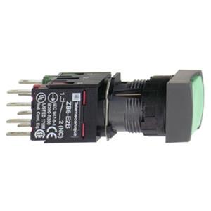 Schneider Electric XB6CA31B Turkey