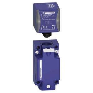 Schneider Electric XS9C4A2A2G13