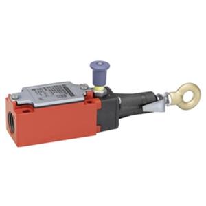 Schneider Electric XY2CJS15H29