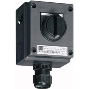 Stahl Schaltgeräte 8040/1180X-26M01SA05 Turkey