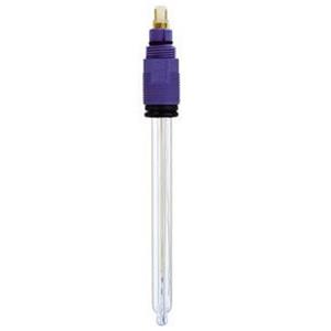 Endress + Hauser CPS21-1EA2GSA