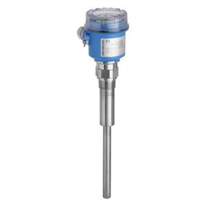 Endress + Hauser FTM21-4G325A