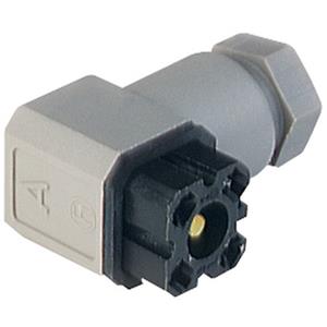 Hirschmann / Icos G 4 W 1 F grau Turkey