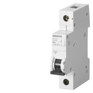 Siemens 5SJ6106-6