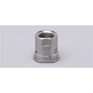 Ifm Electronic ADAPT G1/2-SMS DN25 Turkey