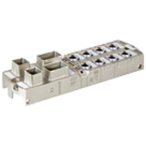 Murrelektronik 55528