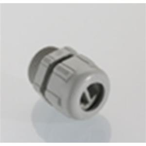 Pflitsch 22052upm2xASI L Turkey