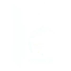 Schneider Electric A9A15035 Turkey