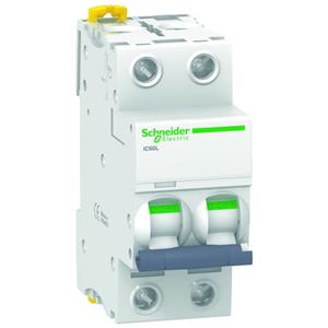 Schneider Electric A9F94206 Turkey