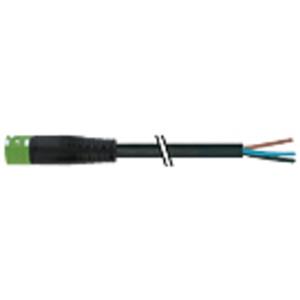 Murrelektronik 7000-P8121-P010500