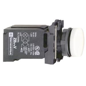 Schneider Electric XB5AV31