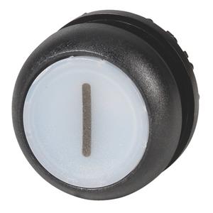 Eaton Electric M22S-DL-W-X1 Turkey