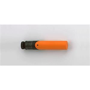 Ifm Electronic IAE3010-APKG Turkey