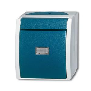 Busch-Jaeger 2601/6 WGL-53