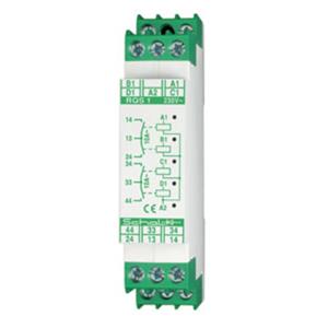 Schalk Steuerungstechnik RQS 1 (24V UC) Turkey