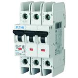Eaton Electric FAZ-C16/3-NA