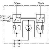 Dehn + Söhne DCB YPV SCI 1000 FM