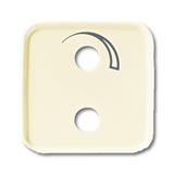 Busch-Jaeger 2548-212-53 B