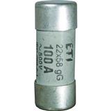 Eska 1461040 CH14 aR 40A 690V