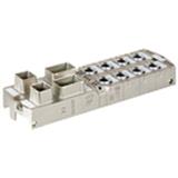 Murrelektronik 55528
