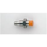 Ifm Electronic IGB3010-BPKG/US-104-DPS     RT