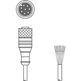 Leuze electronic KD S-M12-8A-P1-050