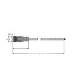 Turck RK4.5T-25/S2503